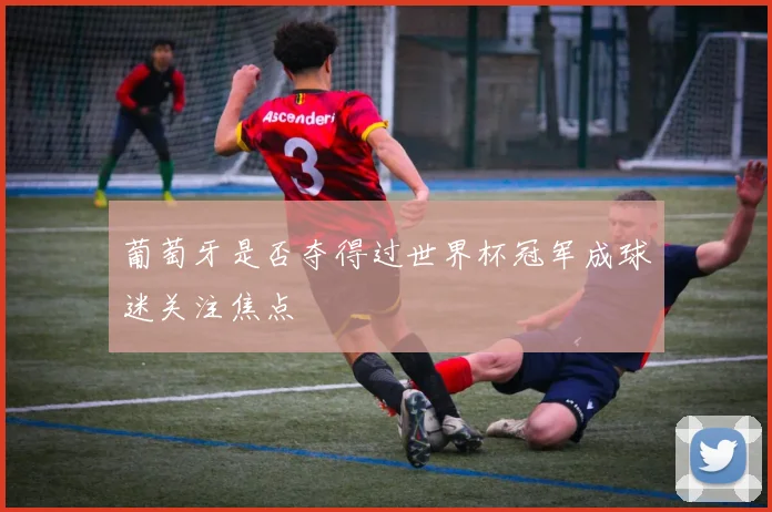 葡萄牙是否夺得过世界杯冠军成球迷关注焦点