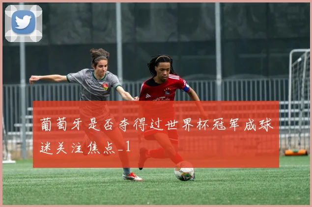 葡萄牙是否夺得过世界杯冠军成球迷关注焦点_1