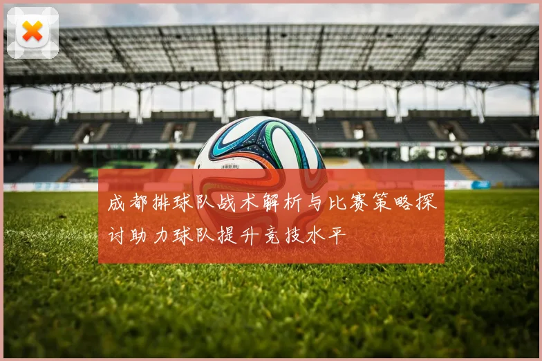 成都排球队战术解析与比赛策略探讨助力球队提升竞技水平