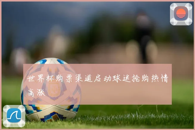 世界杯购票渠道启动球迷抢购热情高涨