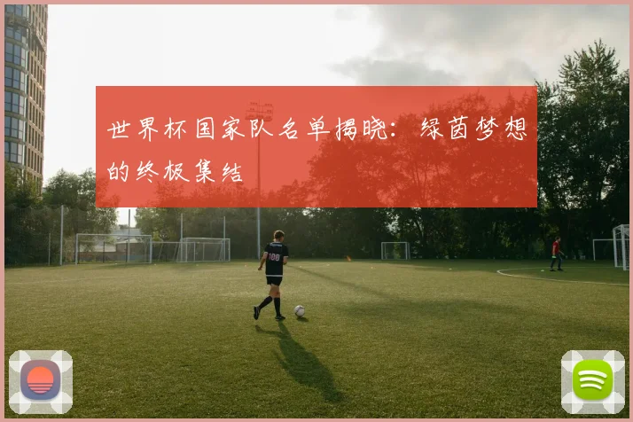世界杯国家队名单揭晓：绿茵梦想的终极集结