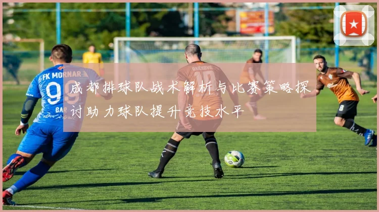 成都排球队战术解析与比赛策略探讨助力球队提升竞技水平