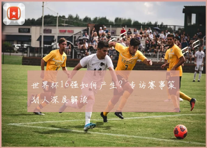 世界杯16强如何产生？专访赛事策划人深度解读