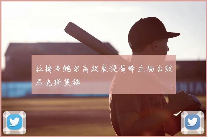 拉梅洛鲍尔高效表现黄蜂主场击败尼克斯集锦