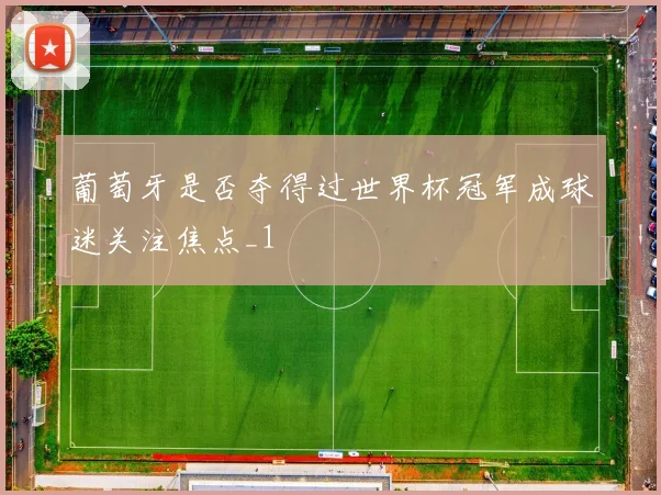 葡萄牙是否夺得过世界杯冠军成球迷关注焦点_1