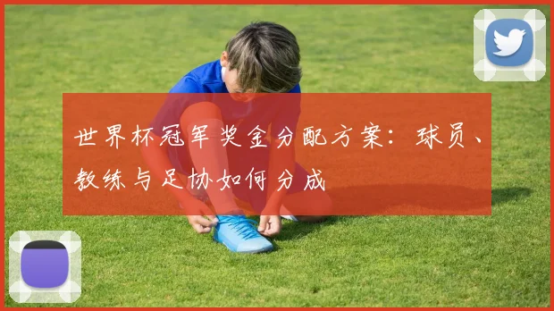 世界杯冠军奖金分配方案:球员、教练与足协如何分成