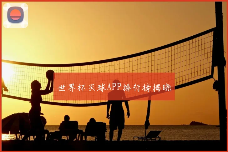 世界杯买球APP排行榜揭晓