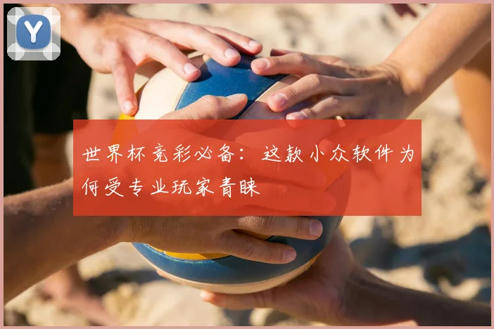 世界杯竞彩必备：这款小众软件为何受专业玩家青睐