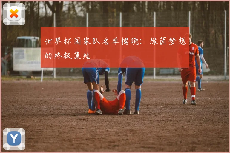 世界杯国家队名单揭晓：绿茵梦想的终极集结