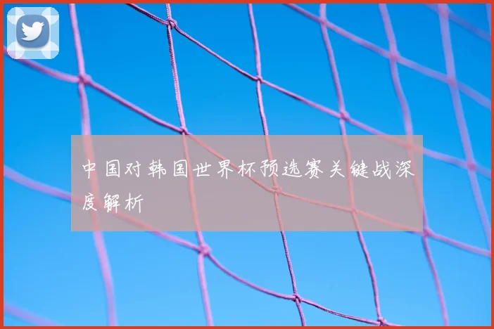 中国对韩国世界杯预选赛关键战深度解析