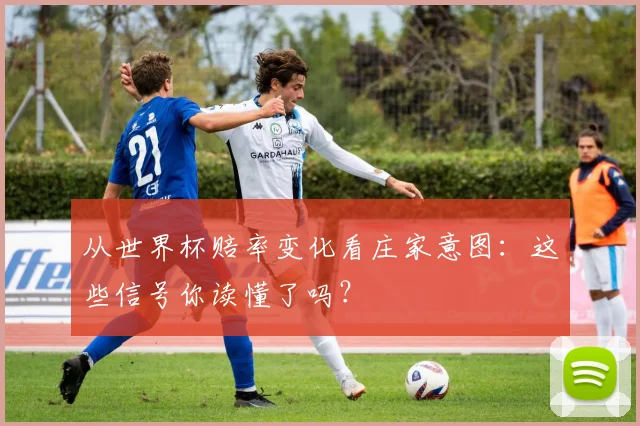 从世界杯赔率变化看庄家意图：这些信号你读懂了吗？