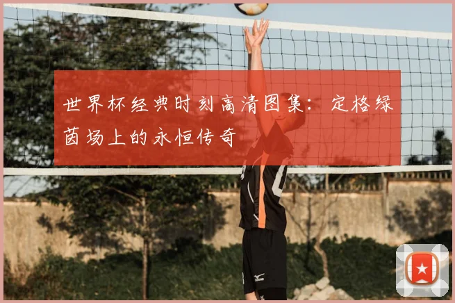世界杯经典时刻高清图集：定格绿茵场上的永恒传奇