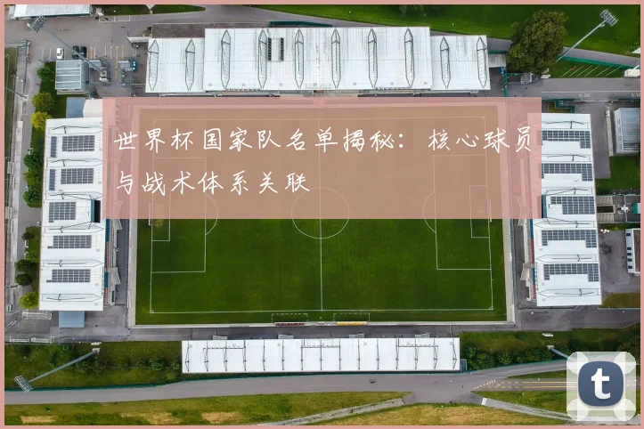 世界杯国家队名单揭秘：核心球员与战术体系关联